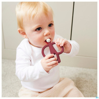 Matchstick monkey anneau dentition bordeaux