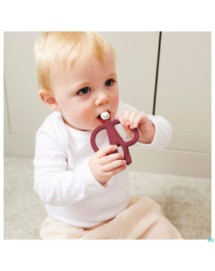 Matchstick monkey anneau dentition bordeaux