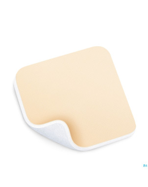 Permafoam classic 10x10cm 10 8820000