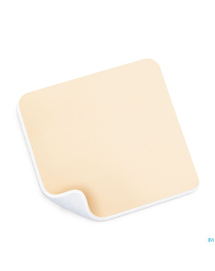 Permafoam classic 15x15cm 10 8820010