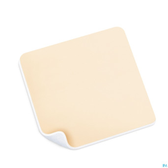 Permafoam classic 20x20cm 10 8820030