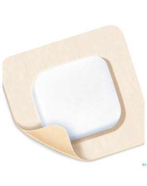 Permafoam classic border 10x10cm 10 8820060