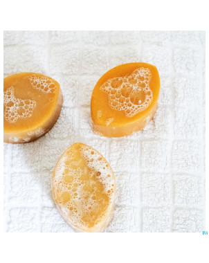 Belice delice fruits sh solide cheveux gras 85g