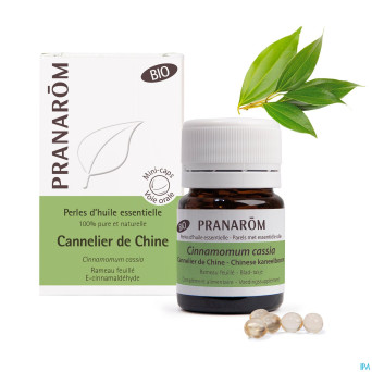 Aromaperles cannelle chine bio    fl caps 60