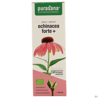 Purasana vegan echinacea forte+    50ml