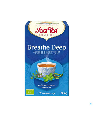 Yogi the breathe deep bio   sach 17
