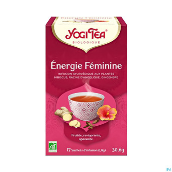 Yogi the energie feminine bio    sach 17