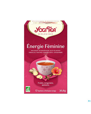 Yogi the energie feminine bio    sach 17