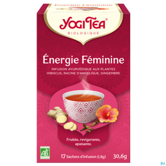 Yogi the energie feminine bio    sach 17