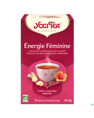 Yogi the energie feminine bio    sach 17