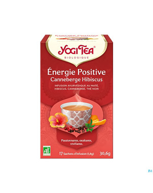 Yogi the energie positive bio    sach 17