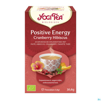 Yogi the energie positive bio    sach 17