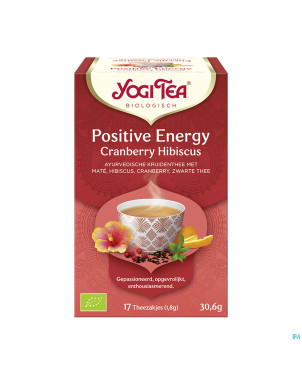 Yogi the energie positive bio    sach 17