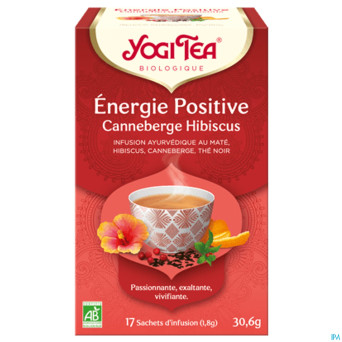 Yogi the energie positive bio    sach 17