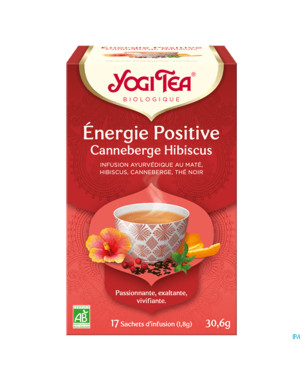 Yogi the energie positive bio    sach 17
