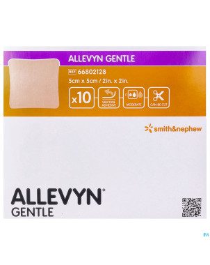 Allevyn gentle cp foam    5cm x  5cm 10 66802128