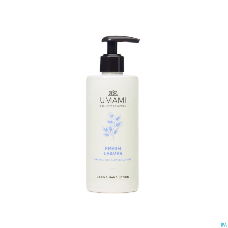 Umami fresh leaves menthe jap.&ging.lot.mains300ml