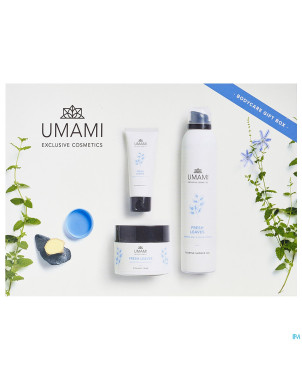 Umami fresh leaves menthe jap.&ging.coff.corp500ml