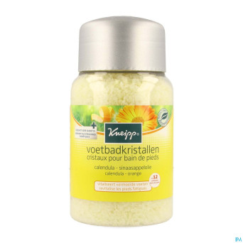 Kneipp sels bain pieds 500g