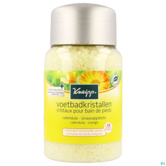 Kneipp sels bain pieds 500g