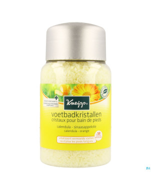 Kneipp sels bain pieds 500g