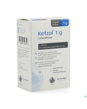 Kefzol 1g + lidocaine pdr et solv sol inj amp 1