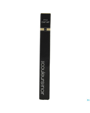 Couleurs de noir stylo oap wp 01 champagne