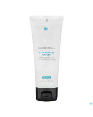 Skinceuticals hydrating b5 masque 30ml