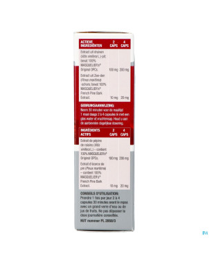 Anthogenol    caps 60