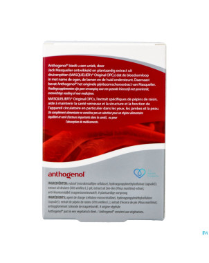 Anthogenol    caps 120