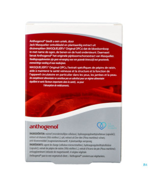 Anthogenol    caps 120