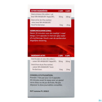 Anthogenol    caps 120