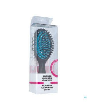 Cartel brosse petit modele bleue boite asie