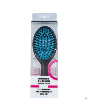 Cartel brosse petit modele bleue boite asie
