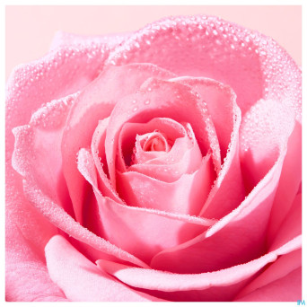 Nuxe very rose brume tonique fraiche vapo 200ml