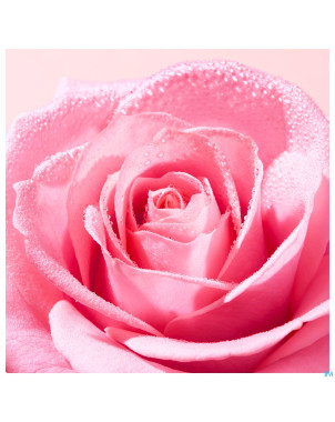 Nuxe very rose brume tonique fraiche vapo 200ml