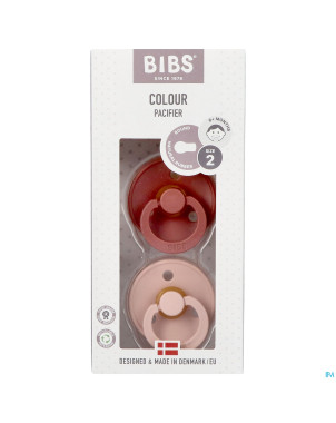 Bibs 2 sucette duo woodchuck blush