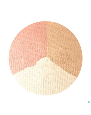 Inx poudre trio clair 6,5g