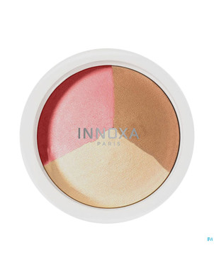 Inx poudre trio moyen 6,5g