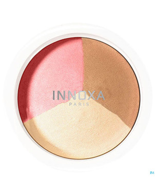 Inx poudre trio moyen 6,5g