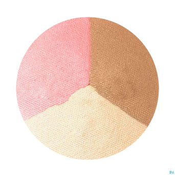 Inx poudre trio moyen 6,5g