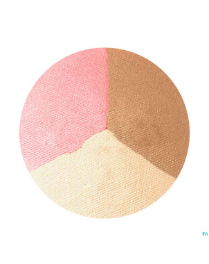 Inx poudre trio moyen 6,5g