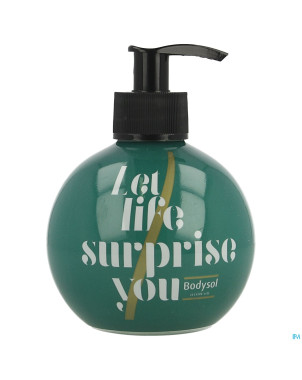 Bodysol handwash ltd ed green 2020    295ml