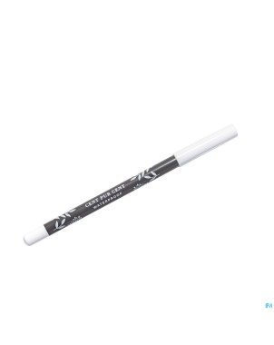 Cent pur cent waterproof eyepencil gris fonce