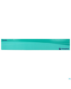 Folysil 2 voies nel sil cath 15ml 41cm ch16 5