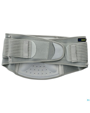 Actimove back support l/xl 1