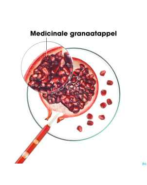 Klorane capil. sh grenade 200ml