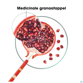 Klorane capil. sh grenade 400ml