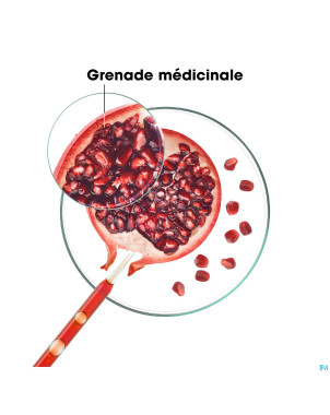 Klorane capil. sh grenade 400ml