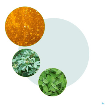 Prosan forte gouttes fl 100ml